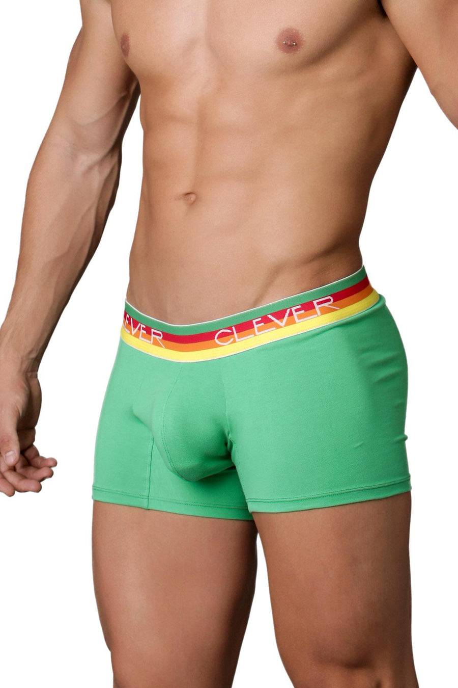 Clever Green/Rainbow Limited Edition Trunk