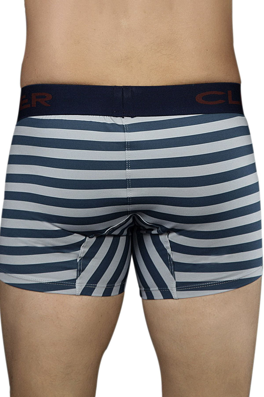 Clever Grey/Teal Stripe Limited Edition Trunk