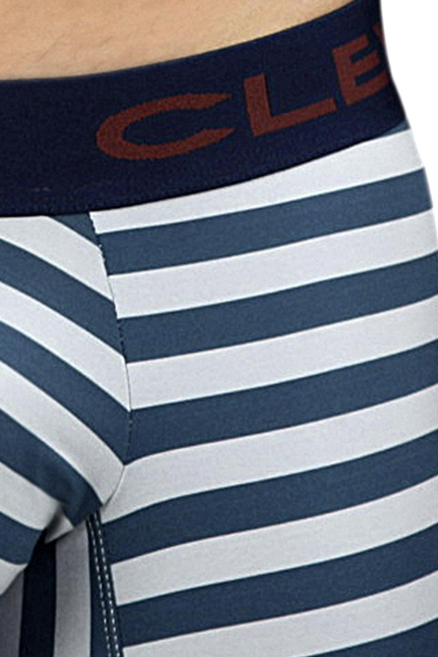 Clever Grey/Teal Stripe Limited Edition Trunk