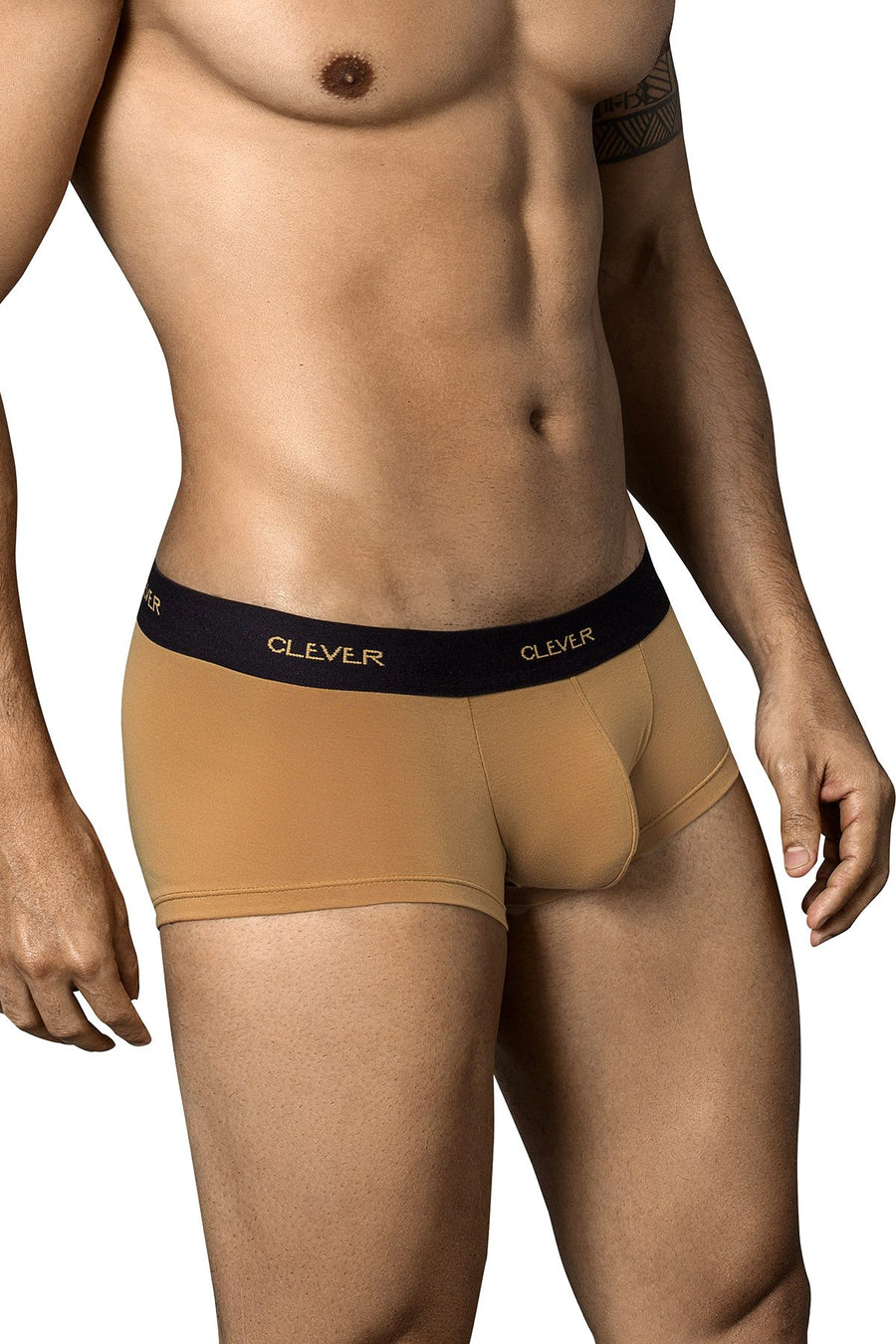 Clever Light Brown Conservative Latin Trunk