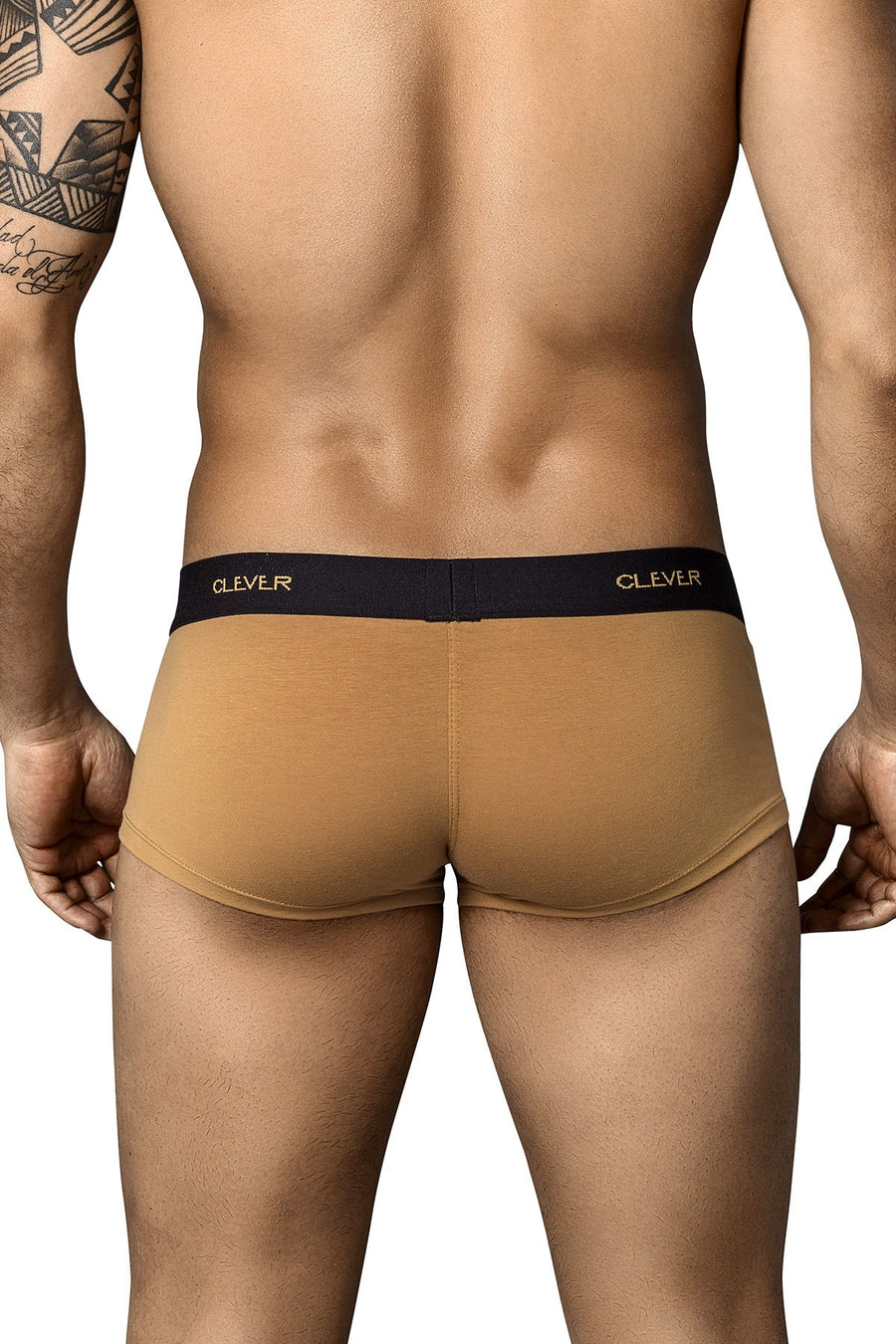 Clever Light Brown Conservative Latin Trunk