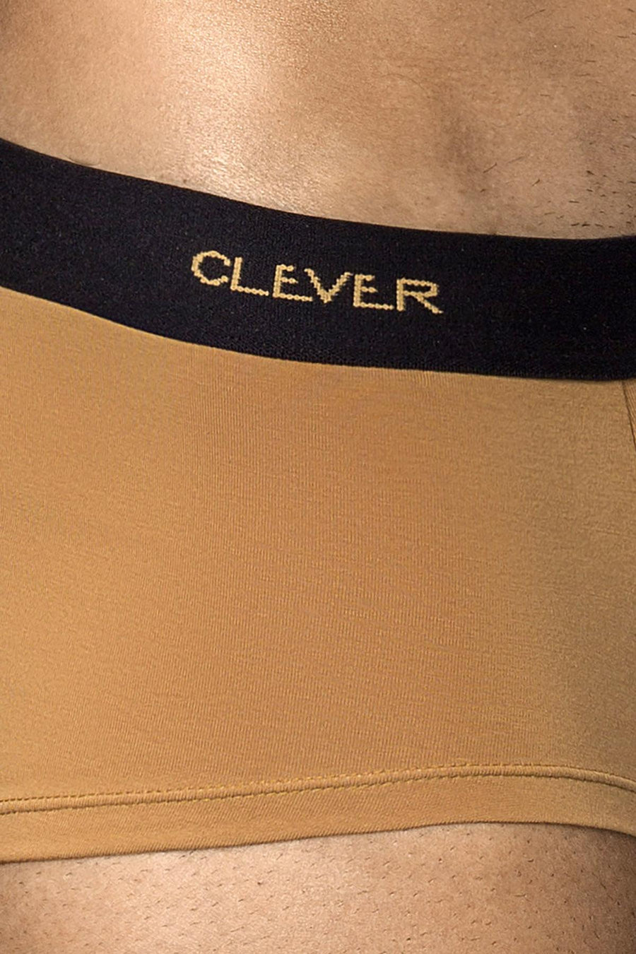Clever Light Brown Conservative Latin Trunk