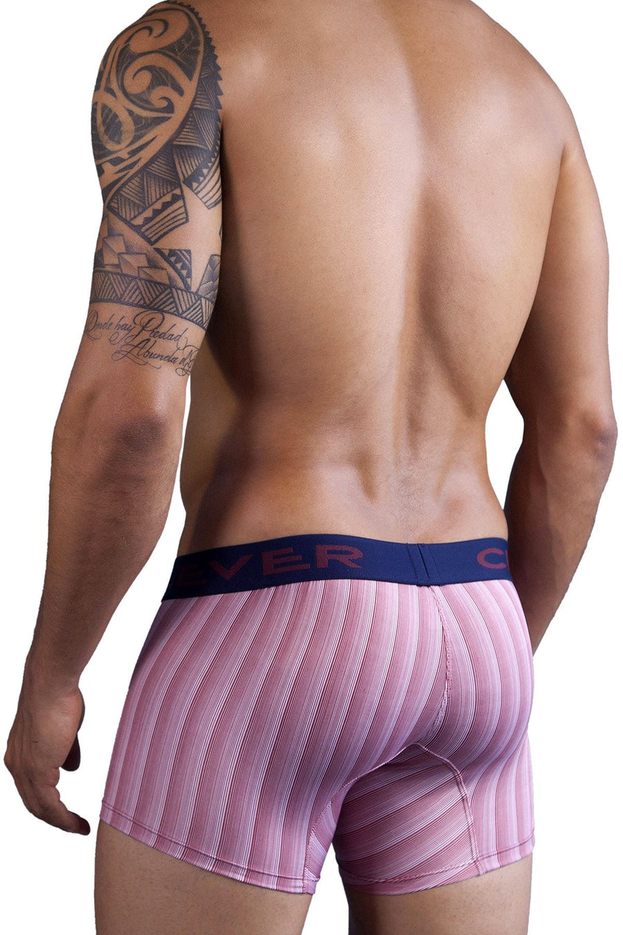 Clever Rust Stripe Limited Edition Grape Trunk