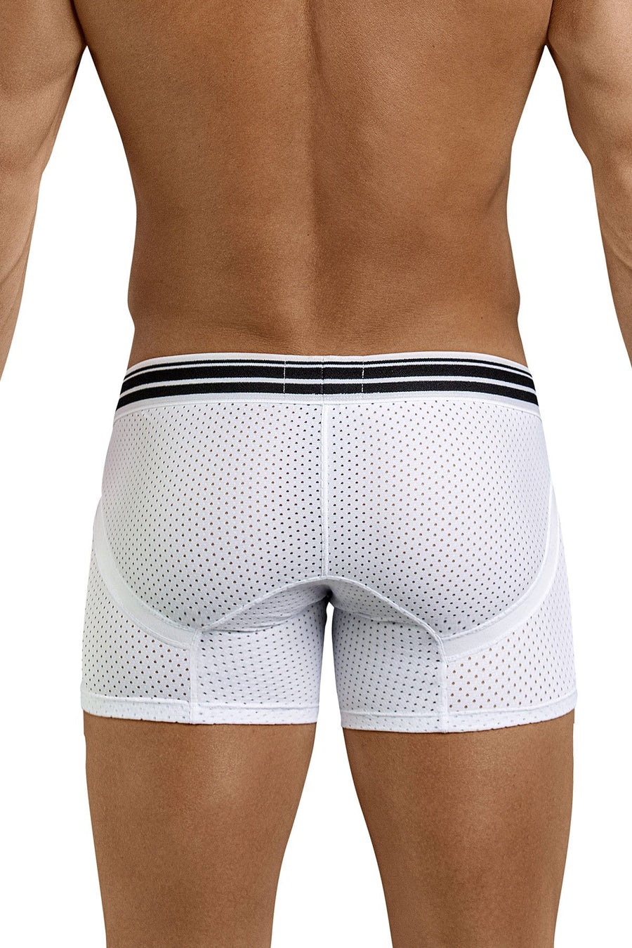 Clever White Fancy Trunk