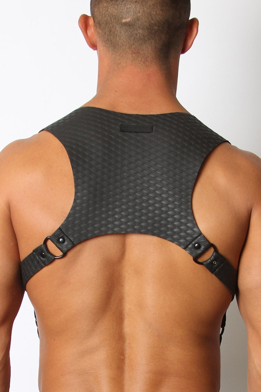 Cyclone Neoprene Harness Black