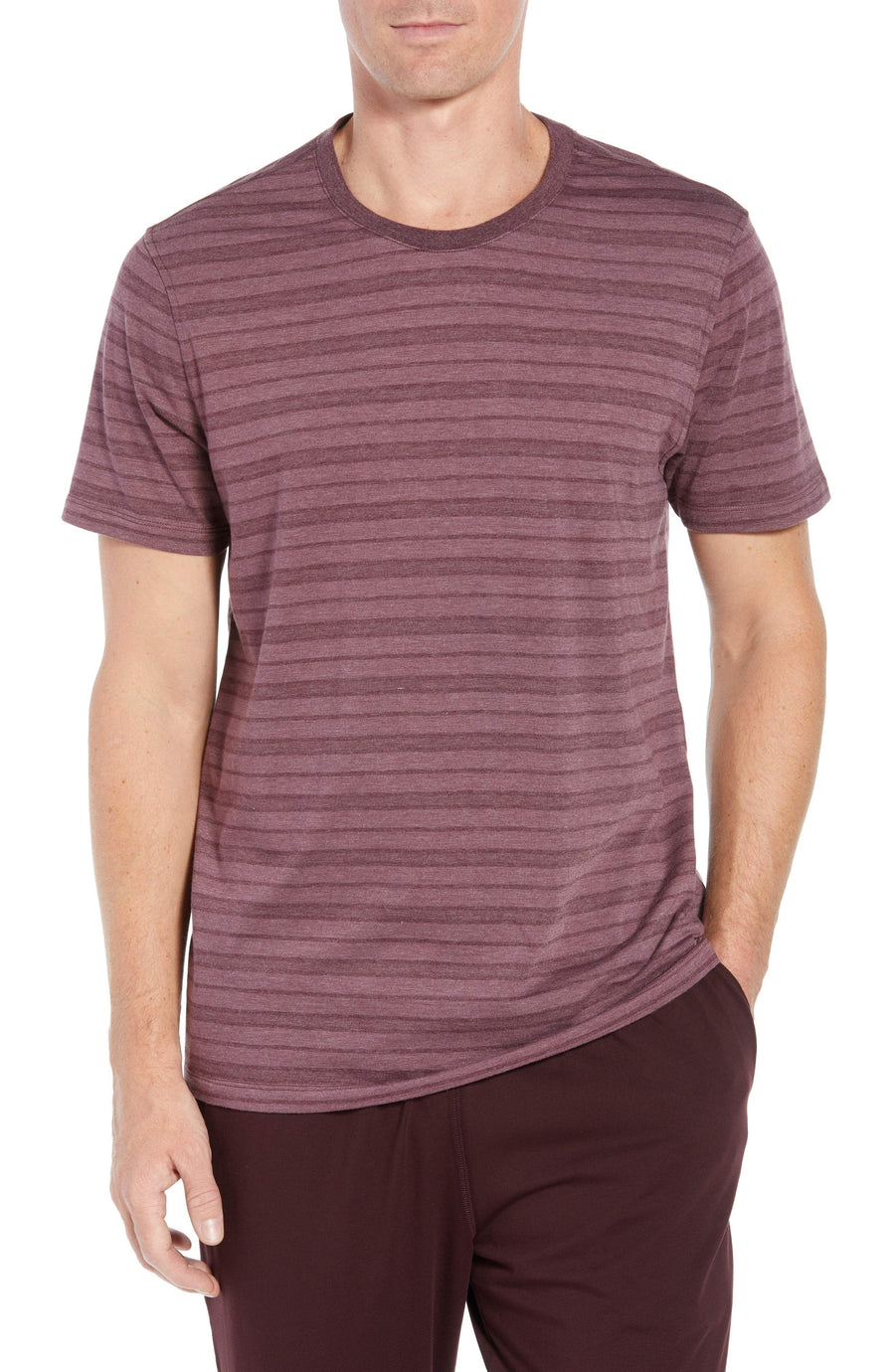 Daniel Buchler Men's Stripe Cotton Blend Crewneck T-Shirt Wine