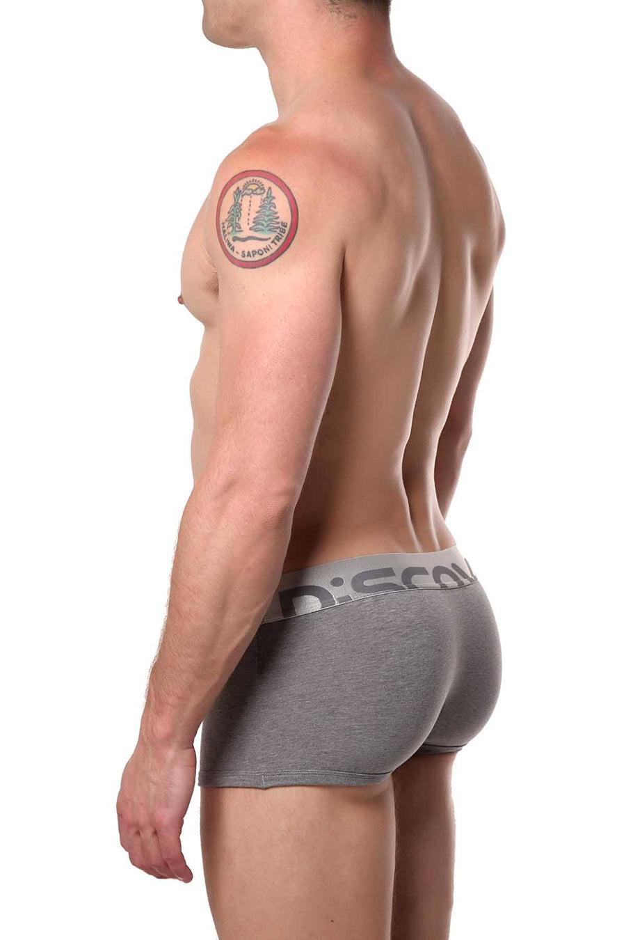 Discover Stone-Grey Silver Trunk