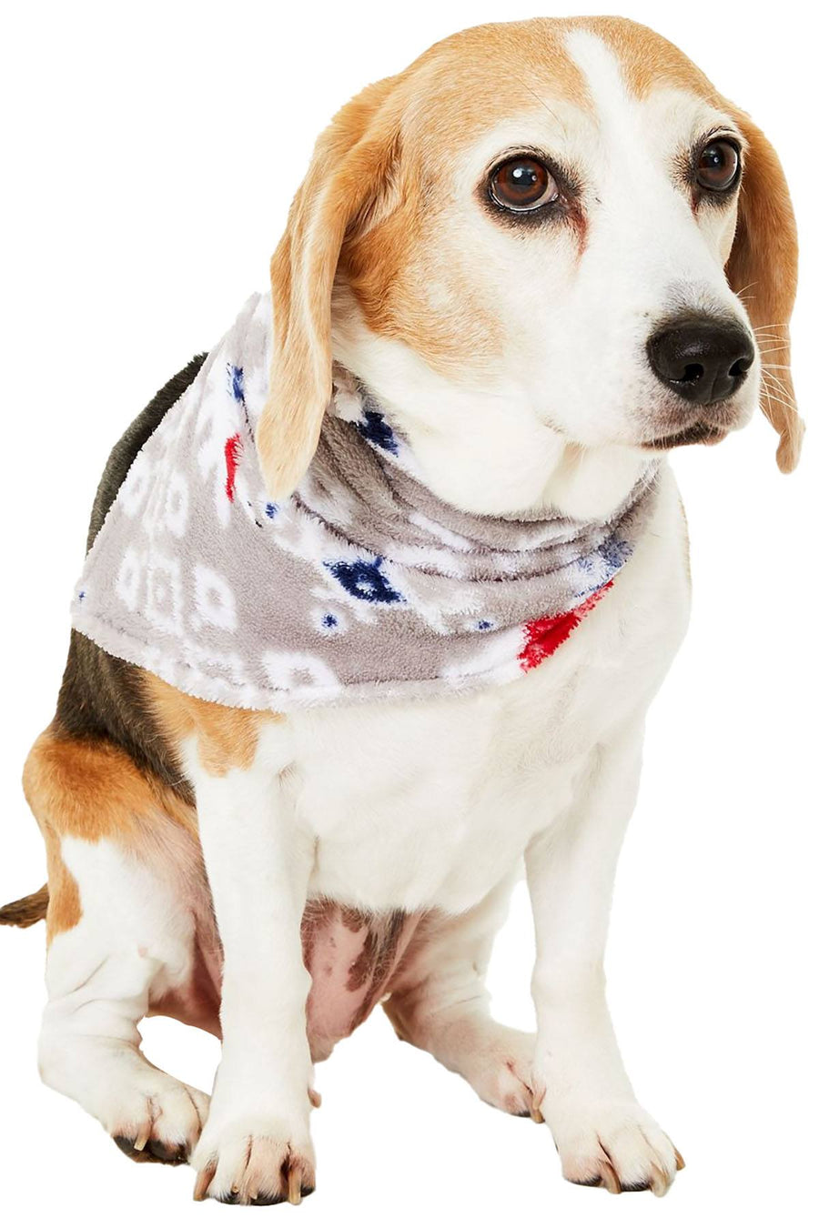 Family PJs PET Bandana in Polar Bear Grey