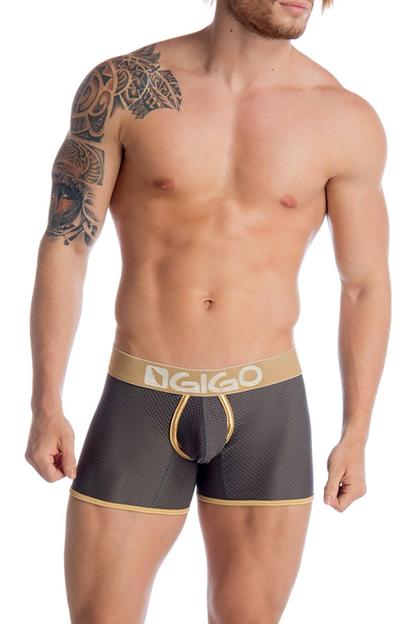 Gigo Grey Capriati Long Boxer Brief