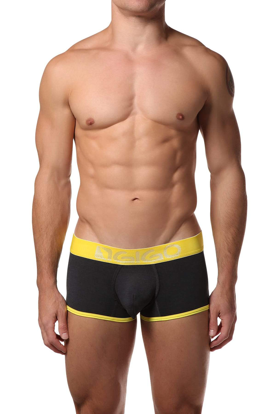 Gigo Grey Rough Boxer Trunk