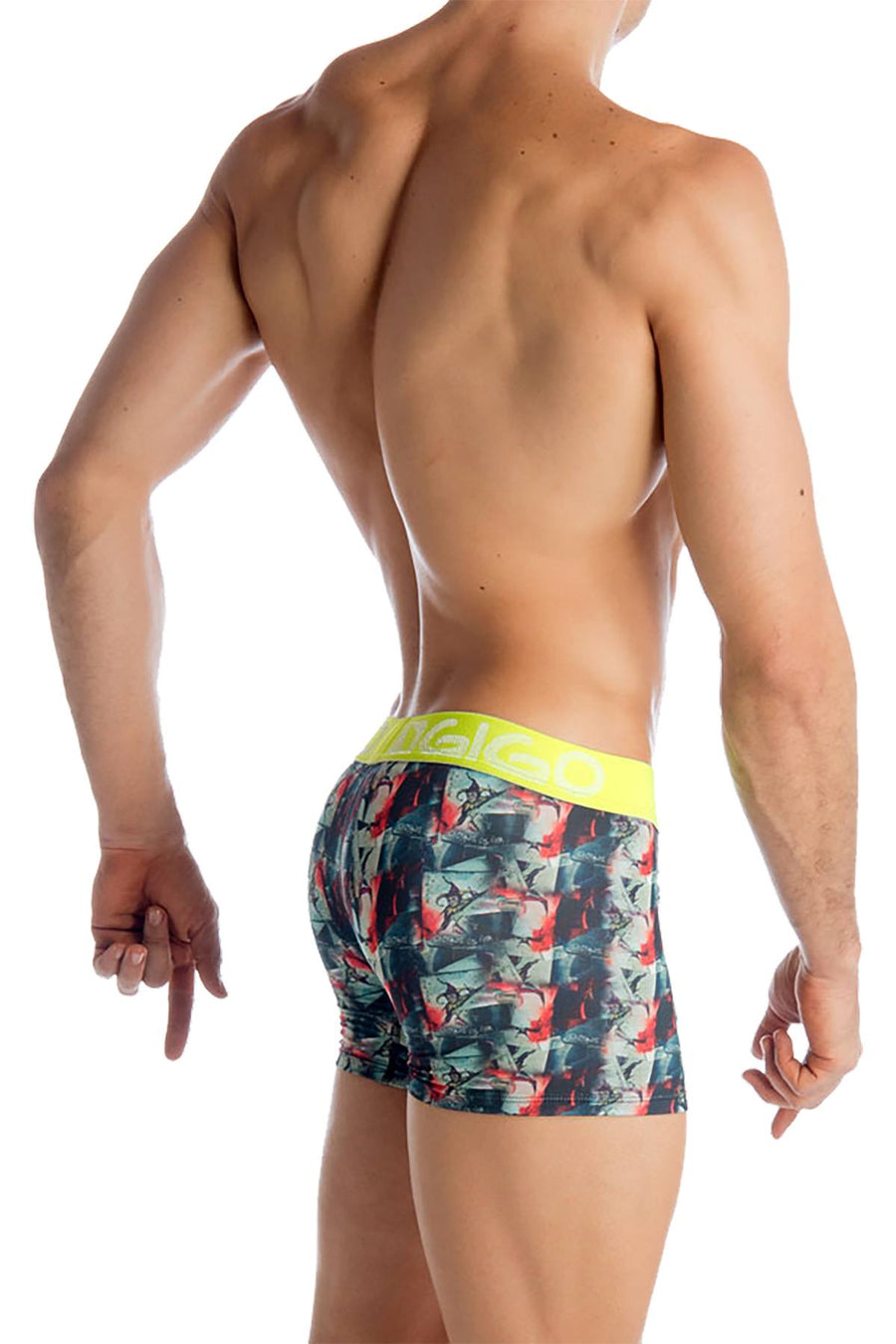 Gigo Jester Long Boxer Brief