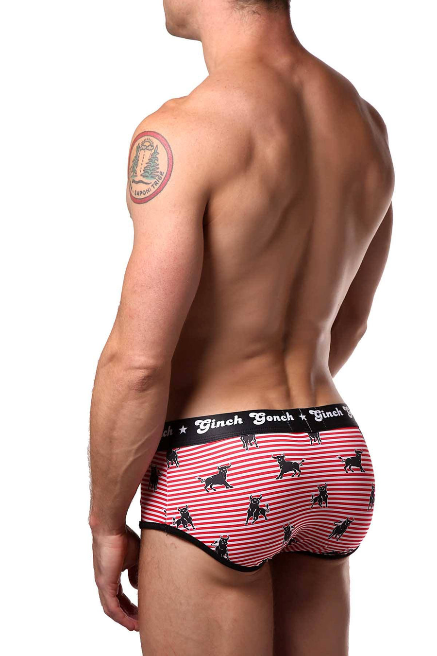 Ginch Gonch Wild-Bulls Brief