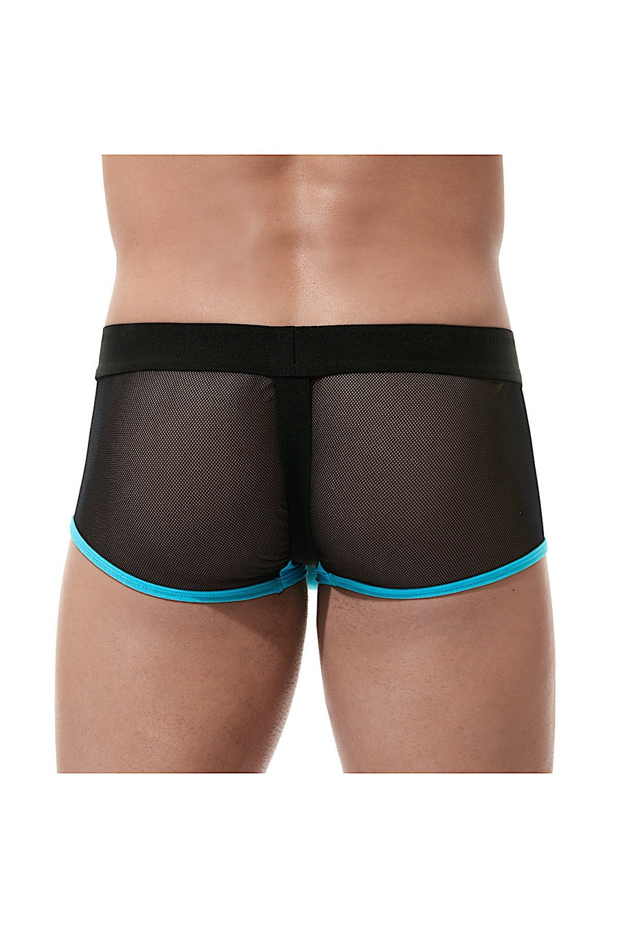 Gregg Homme Aqua Avant Garde Trunk