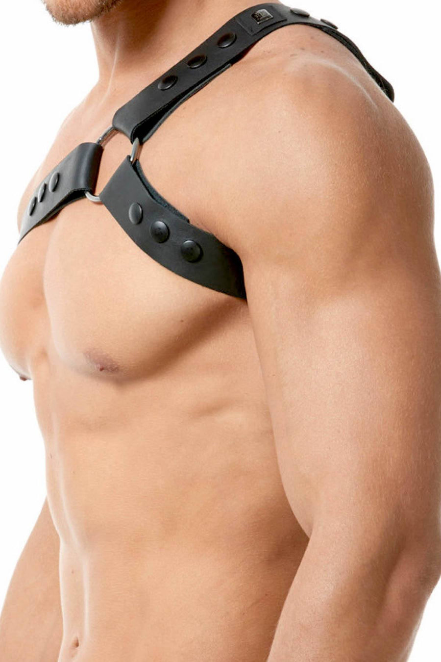 Gregg Homme Black Bonded-Leather Top Harness