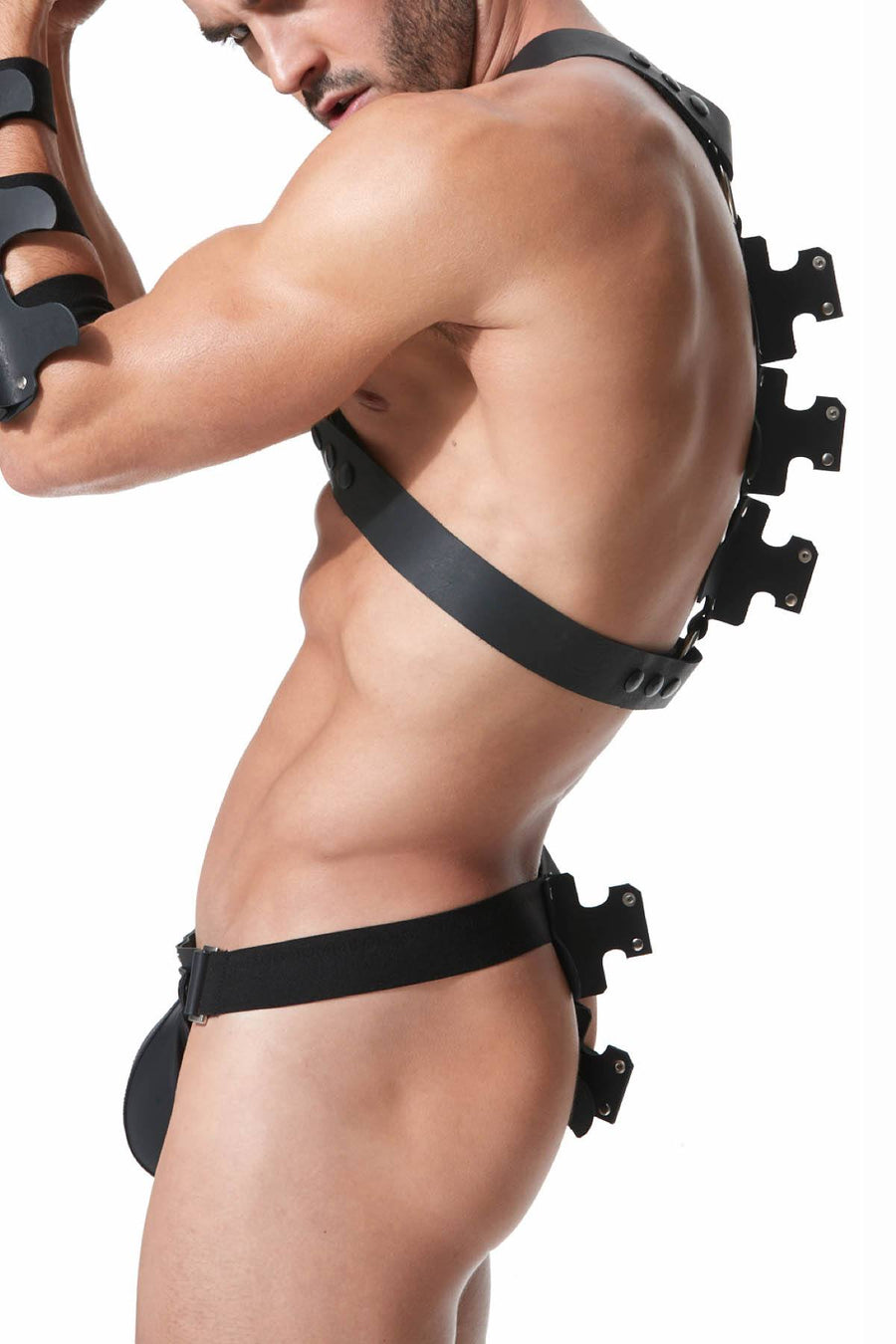 Gregg Homme Black Frame Leather Chest Harness