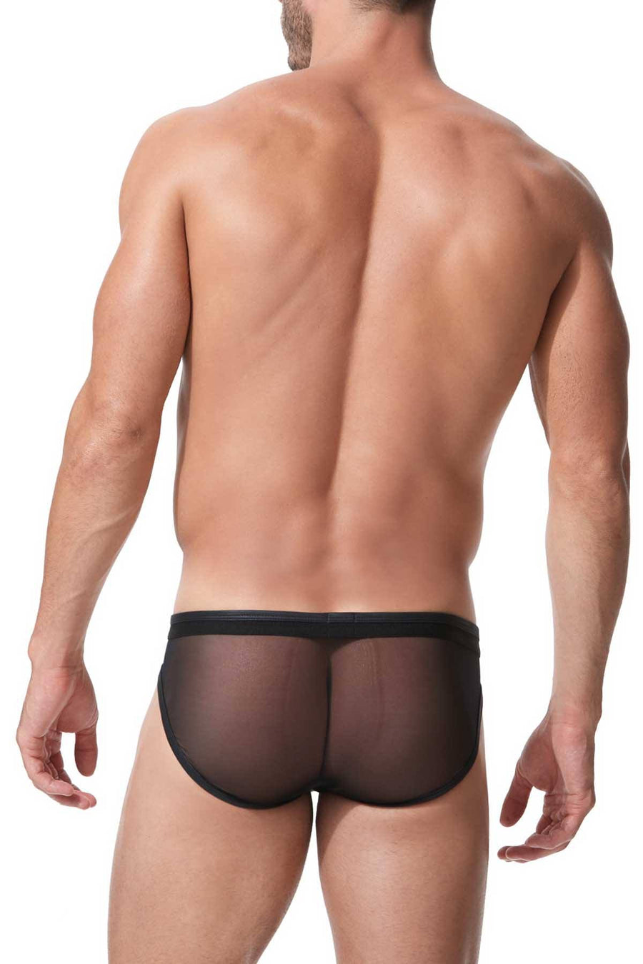 Gregg Homme Black/Gold Snake-Printed Mesh/Foil Century Brief