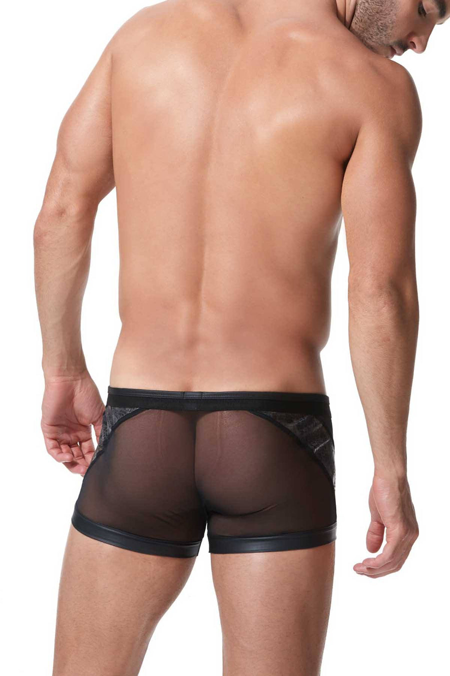 Gregg Homme Black/Gold Snake-Printed Mesh/Foil Century Trunk