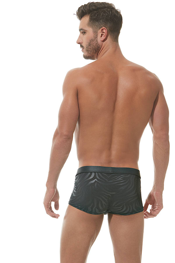 Gregg Homme Black Hookt Trunk