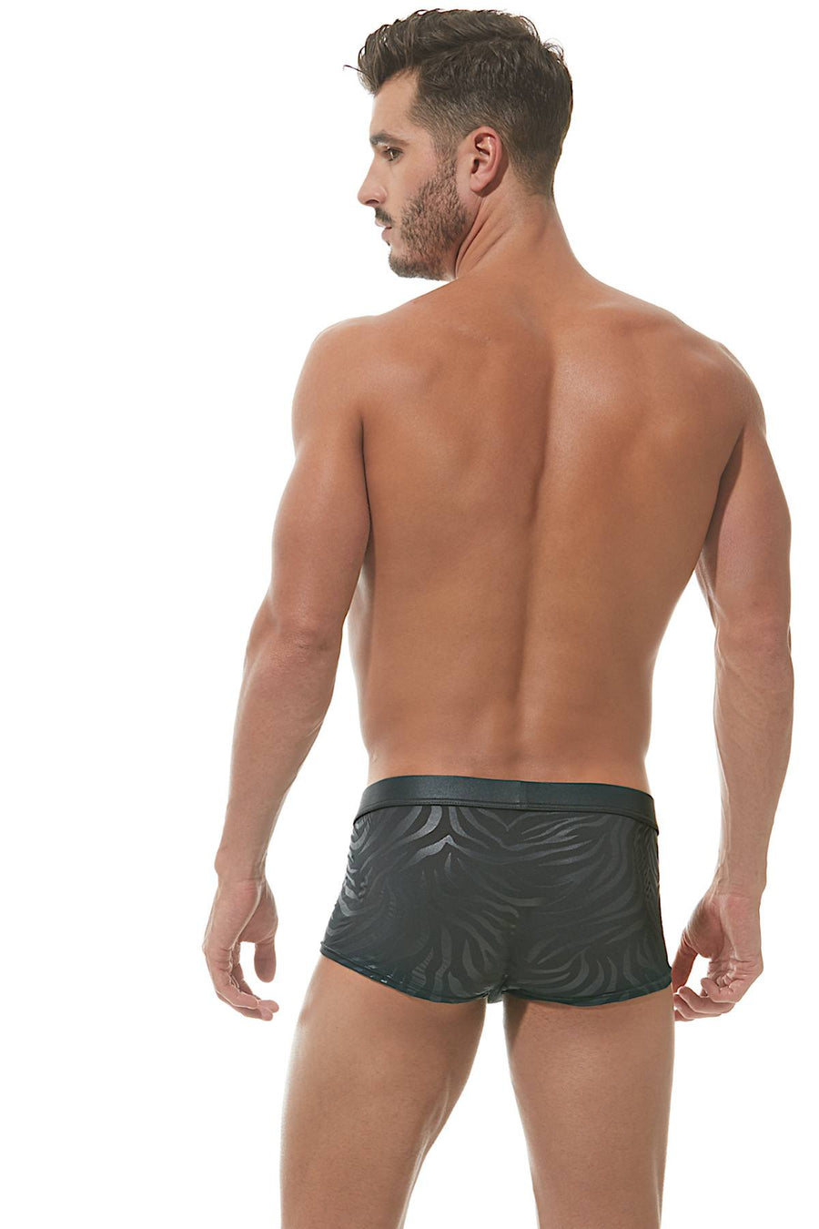 Gregg Homme Black Hookt Trunk