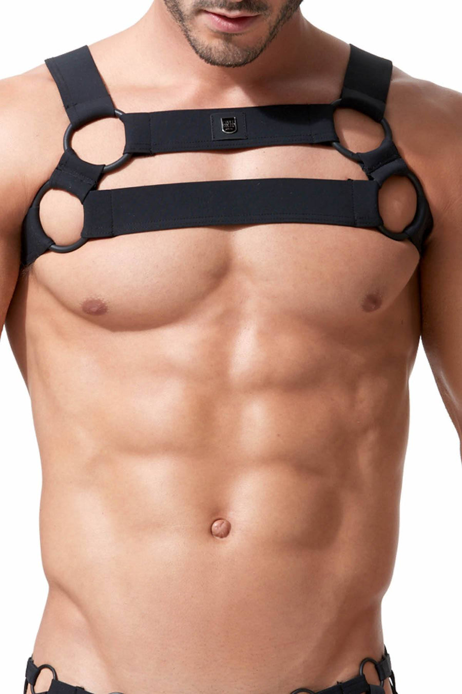 Gregg Homme Black Octane 2.0 Bulldog Harness