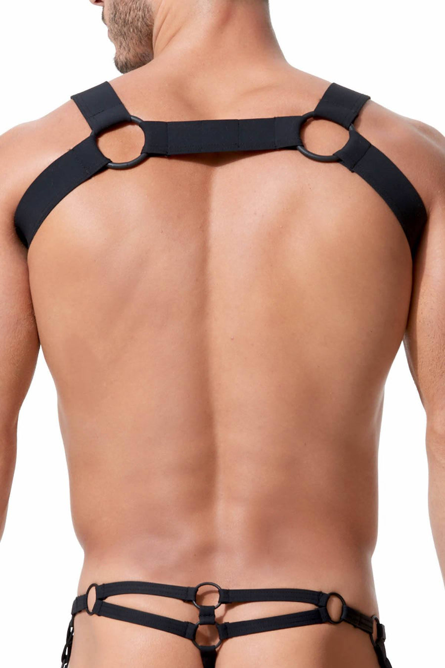 Gregg Homme Black Octane 2.0 Bulldog Harness