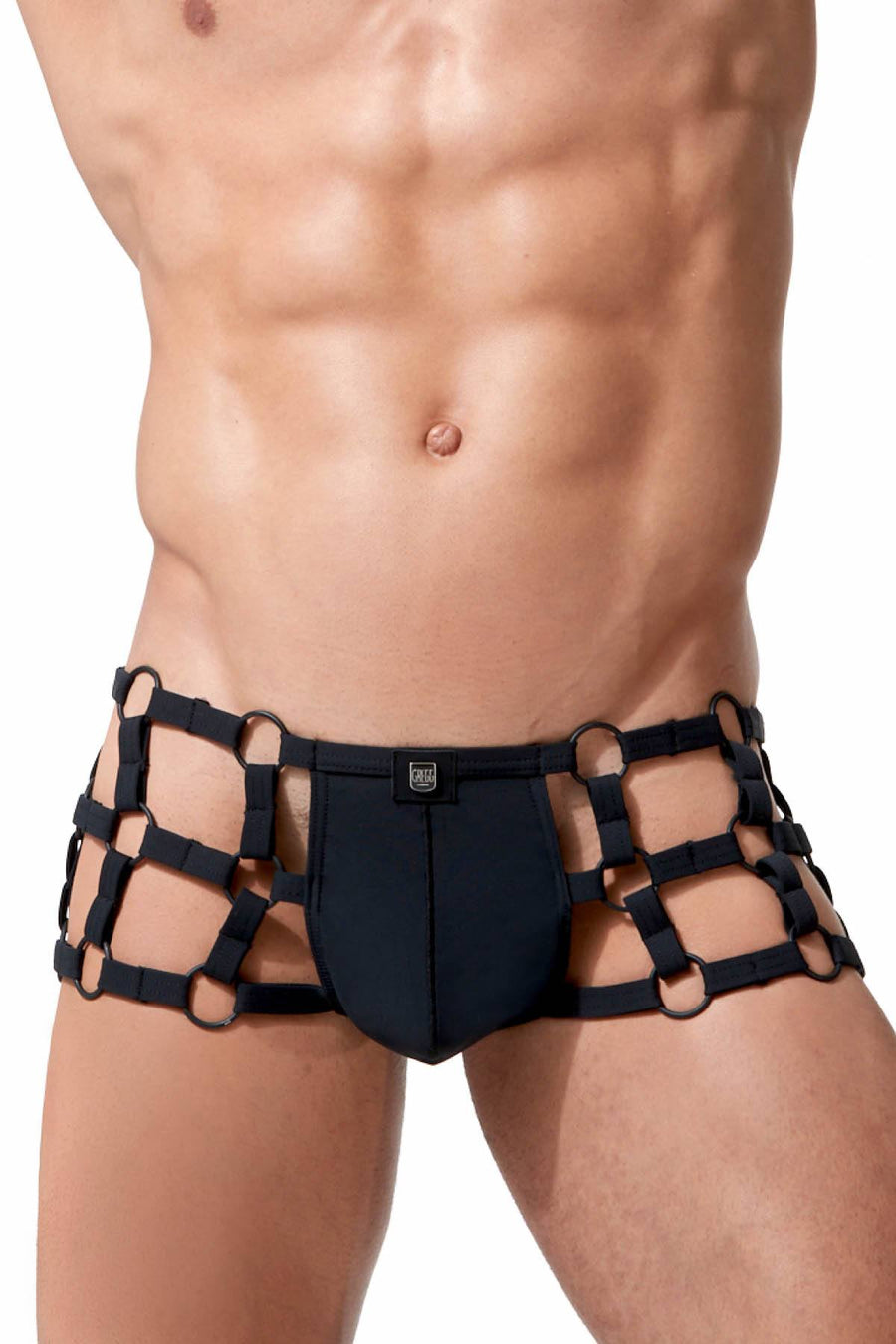 Gregg Homme Black Octane 2.0 Harness Trunk
