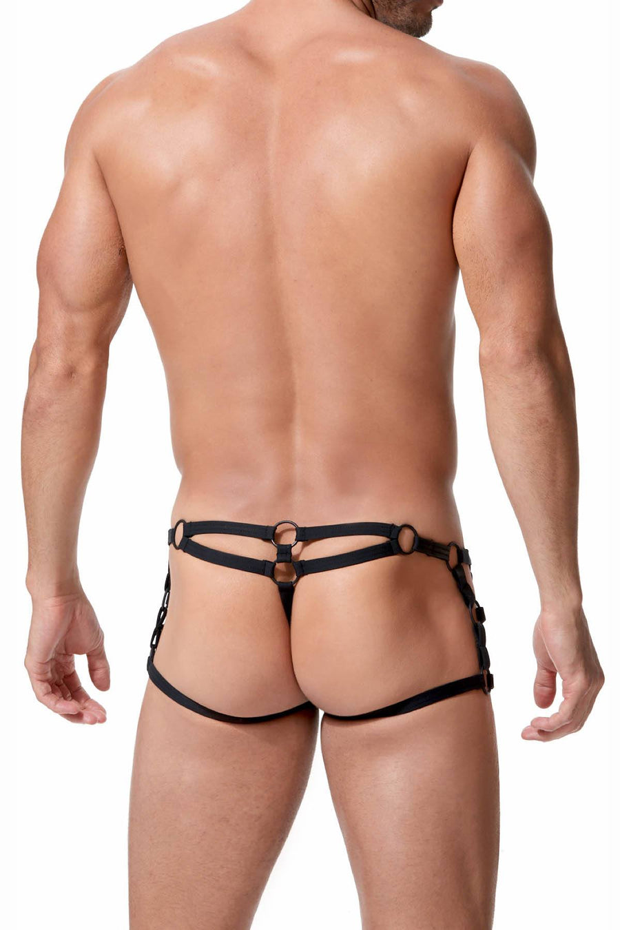 Gregg Homme Black Octane 2.0 Harness Trunk