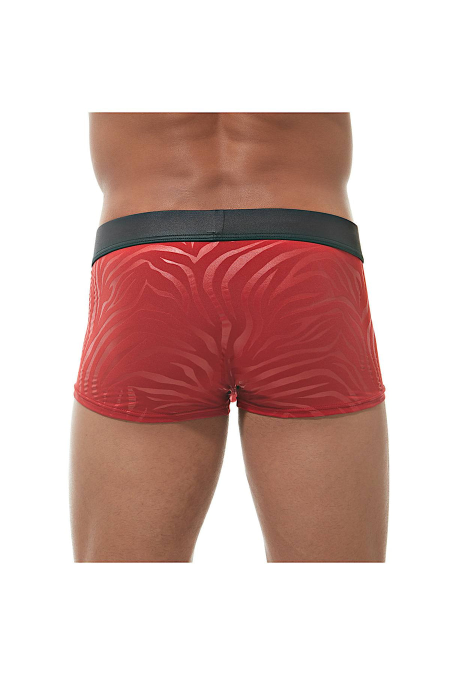 Gregg Homme Red Hookt Trunk