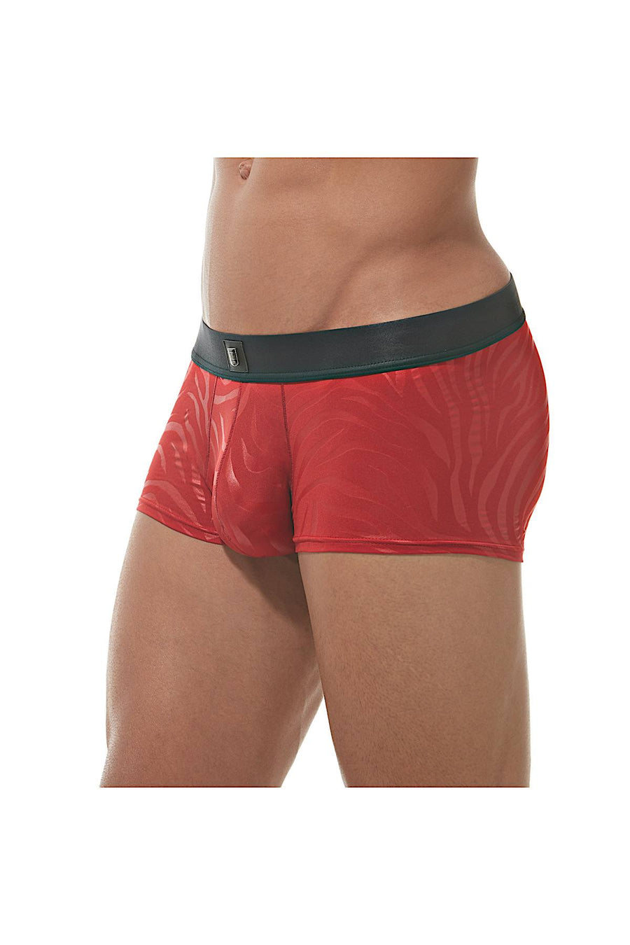 Gregg Homme Red Hookt Trunk
