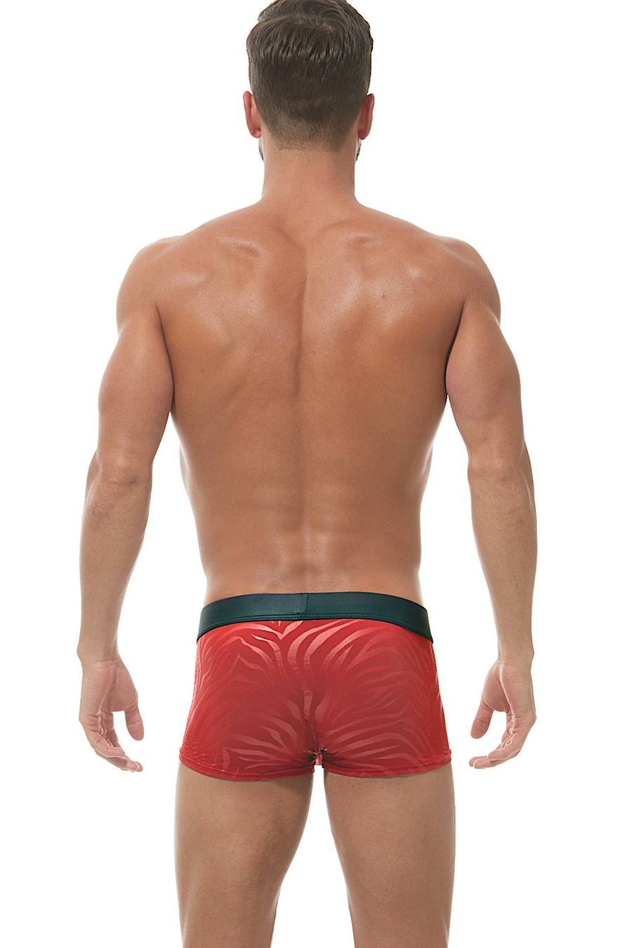 Gregg Homme Red Hookt Trunk