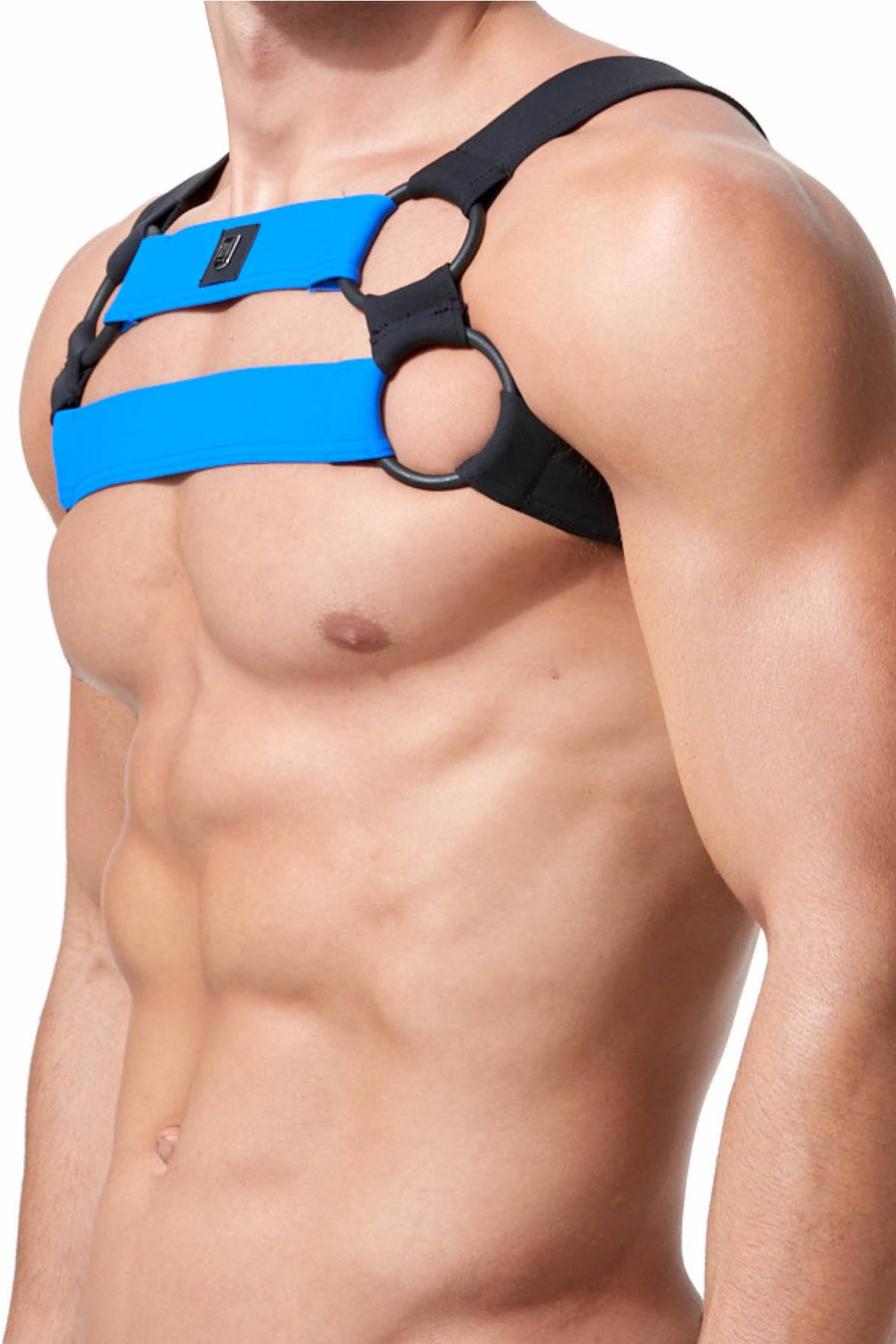 Gregg Homme Royal-Blue Octane 2.0 Bulldog Harness