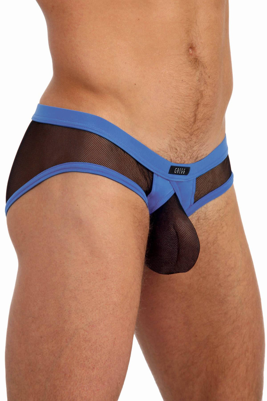 Gregg Homme Royal X-Rated Maximizer Brief
