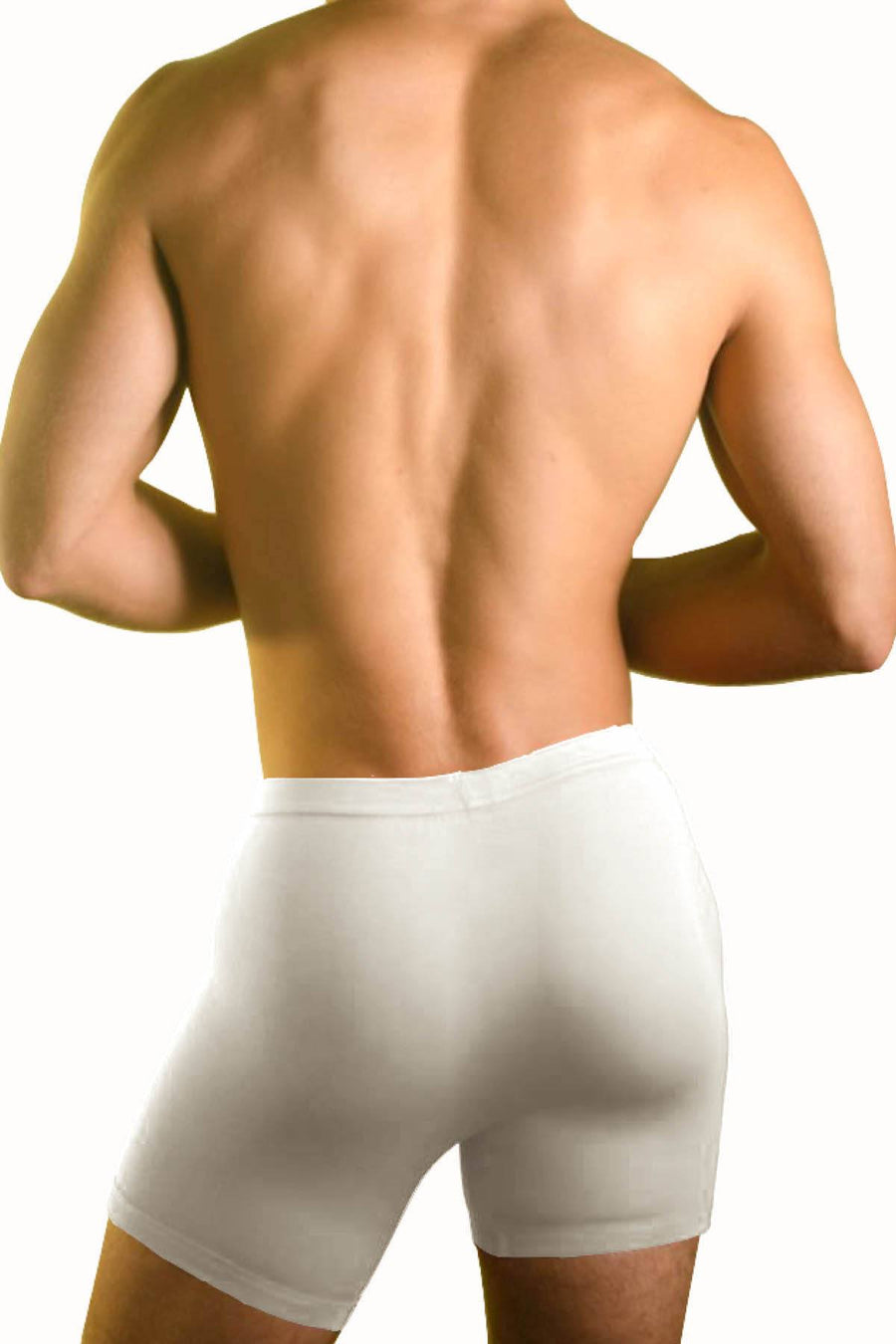 Hades Natural Boxer Brief