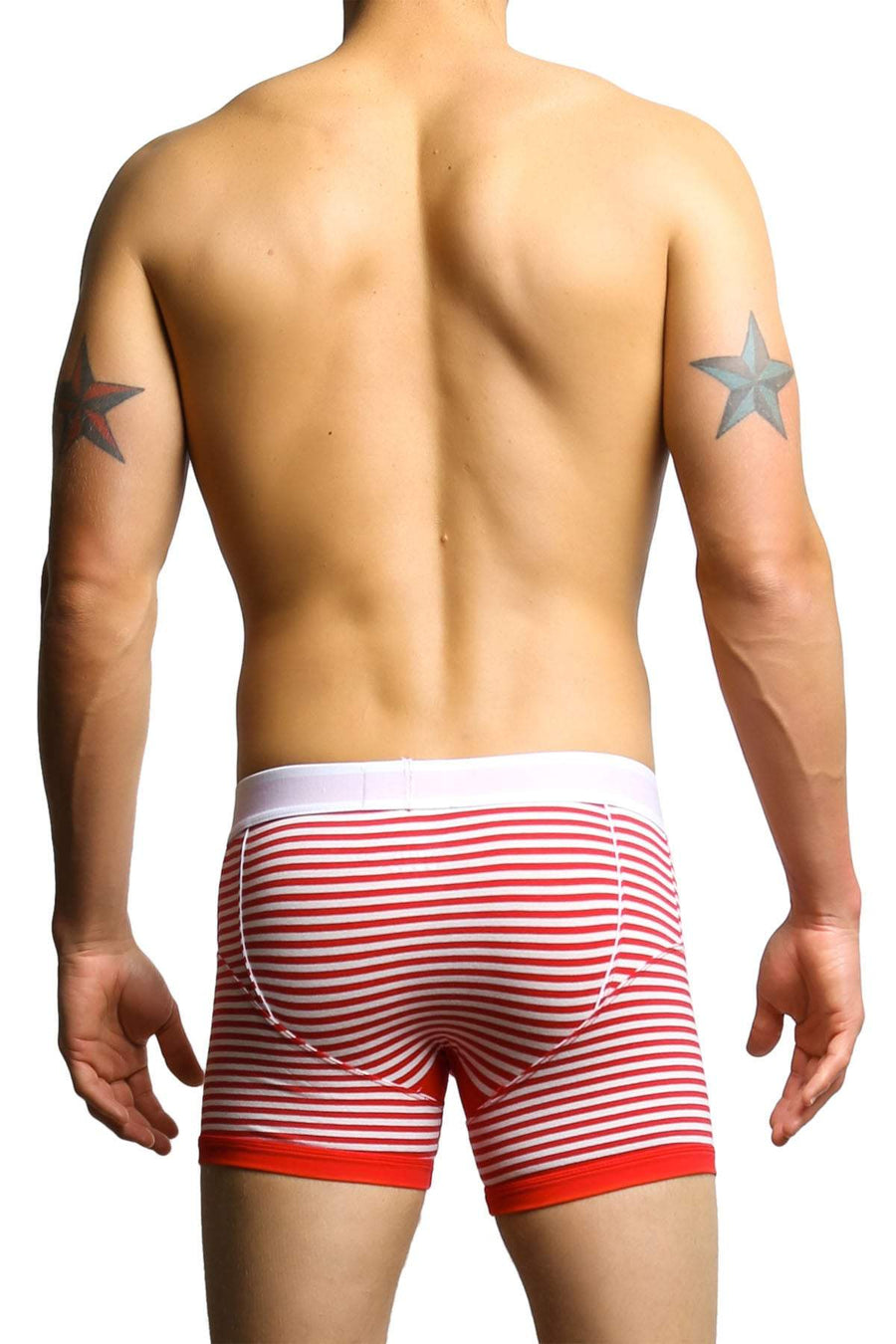 James Tudor Red & White Regal Boxer