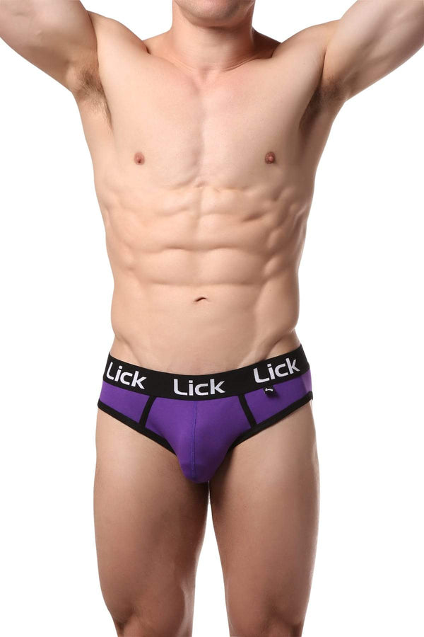 Lick Purple Air Brief