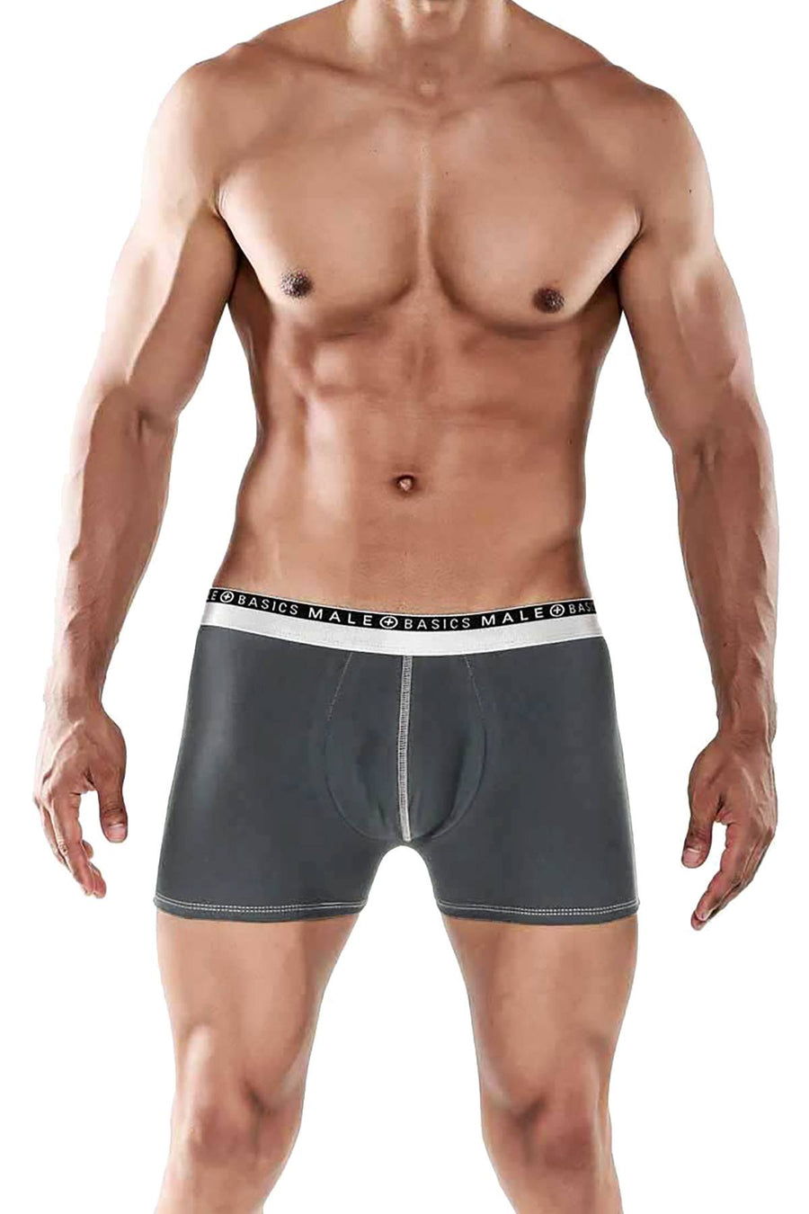 Male Basics Grey Everyday Trunk