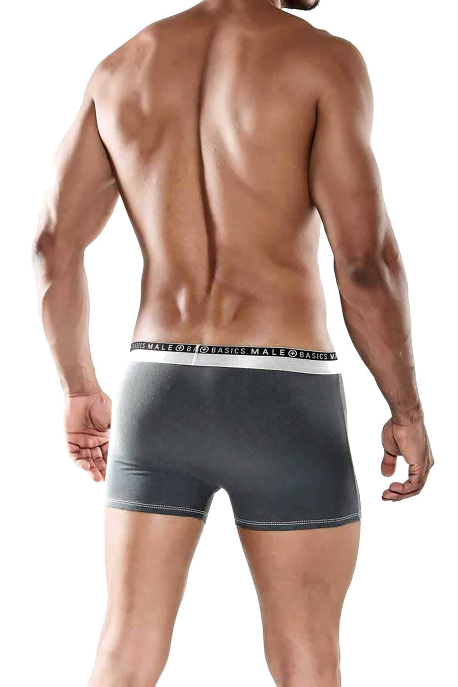 Male Basics Grey Everyday Trunk