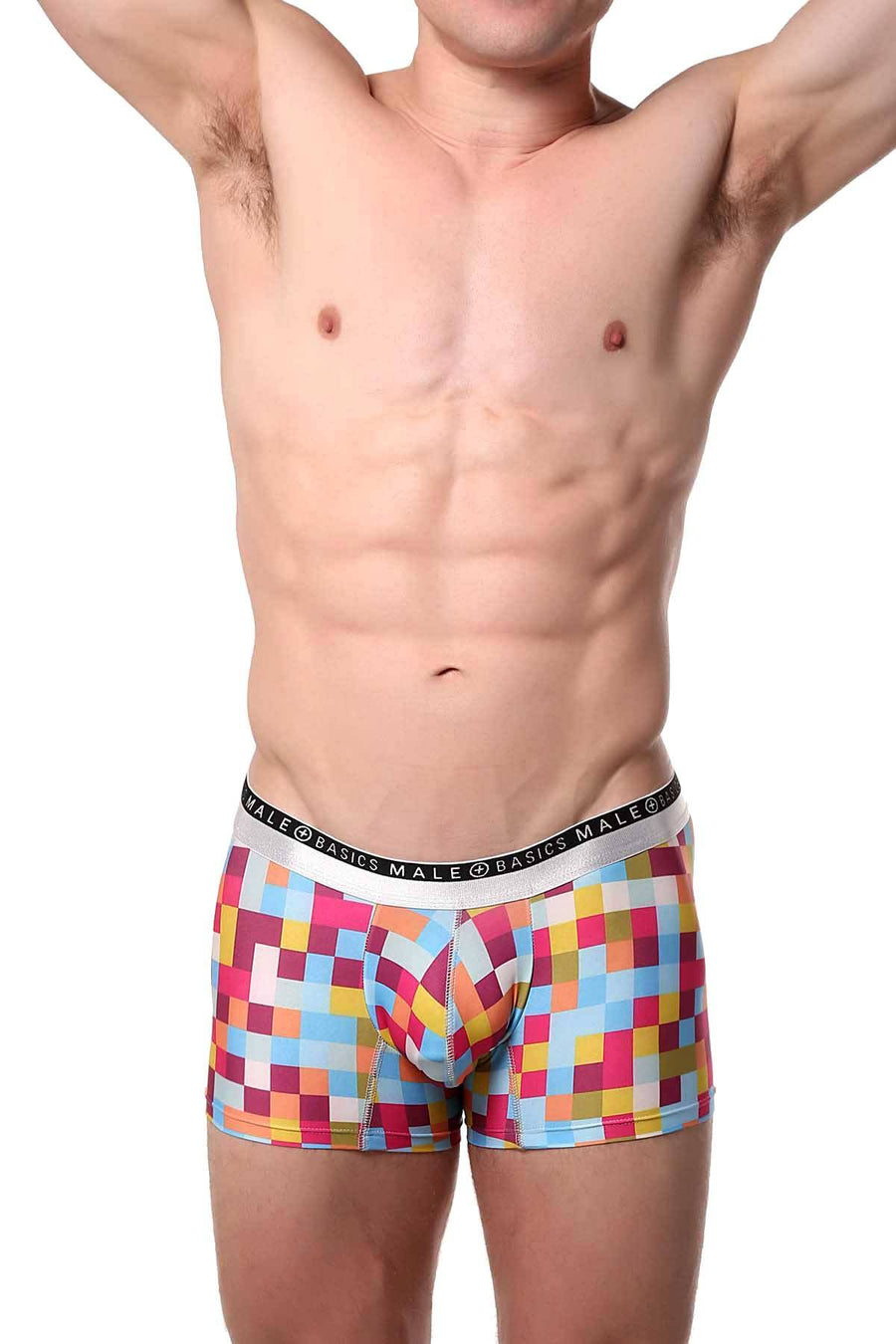 Male Basics Plum Pixels Hipster Trunk