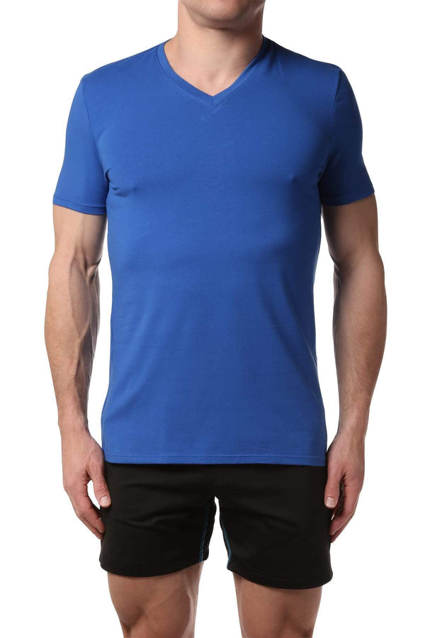 Male Basics Turquoise-Sea Everyday Pima V-Neck Tee