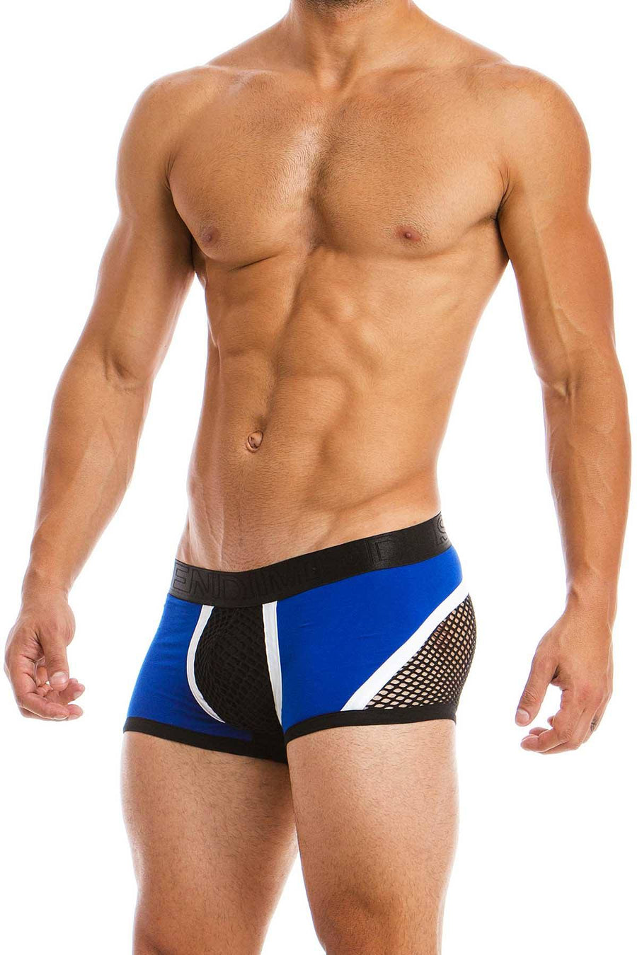 Modus Vivendi Blue Multi C-Through Trunk