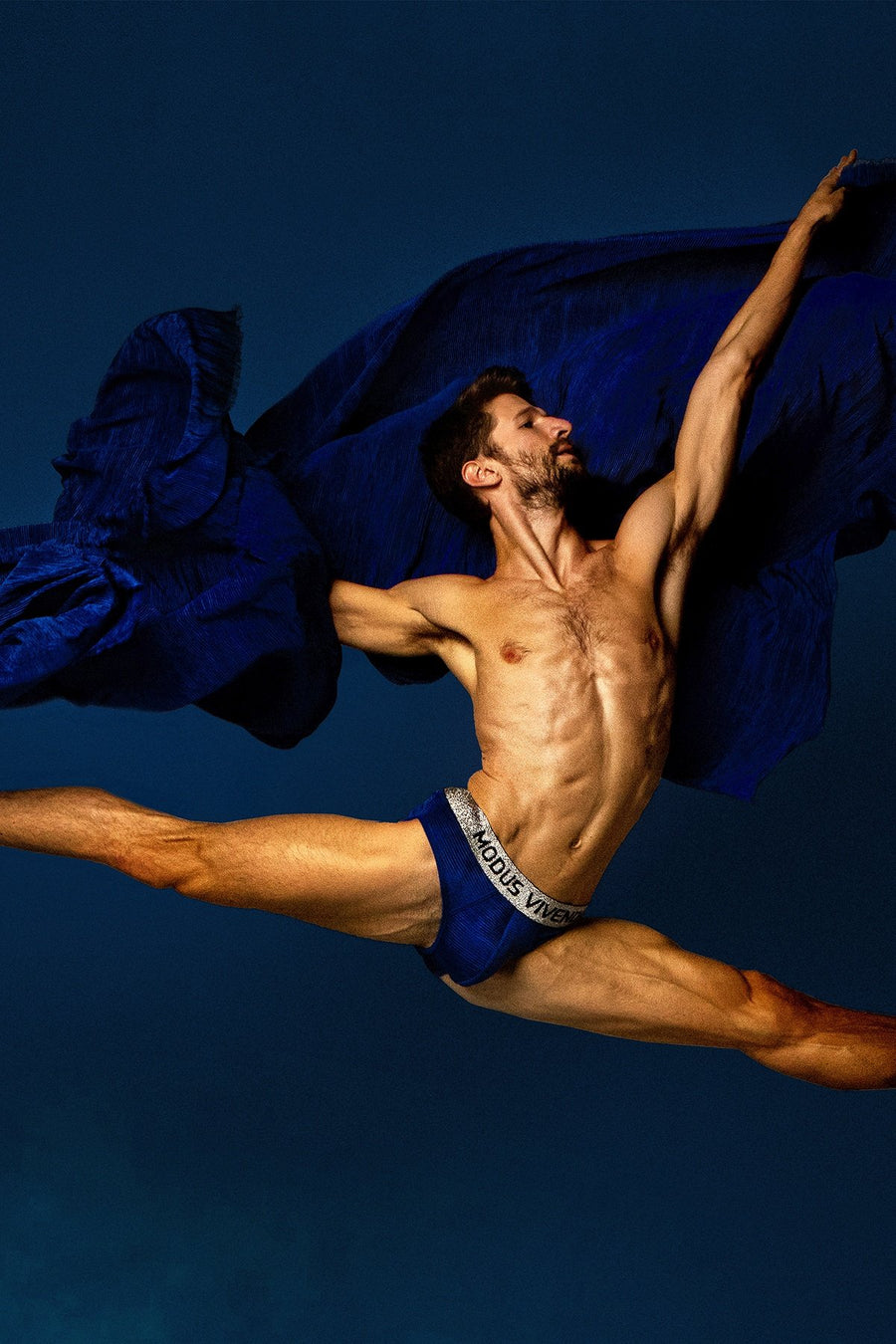 Modus Vivendi Blue Spring Fest Brief