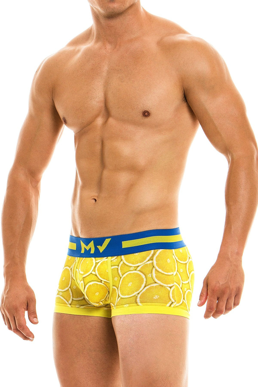 Modus Vivendi Lemon Boxer