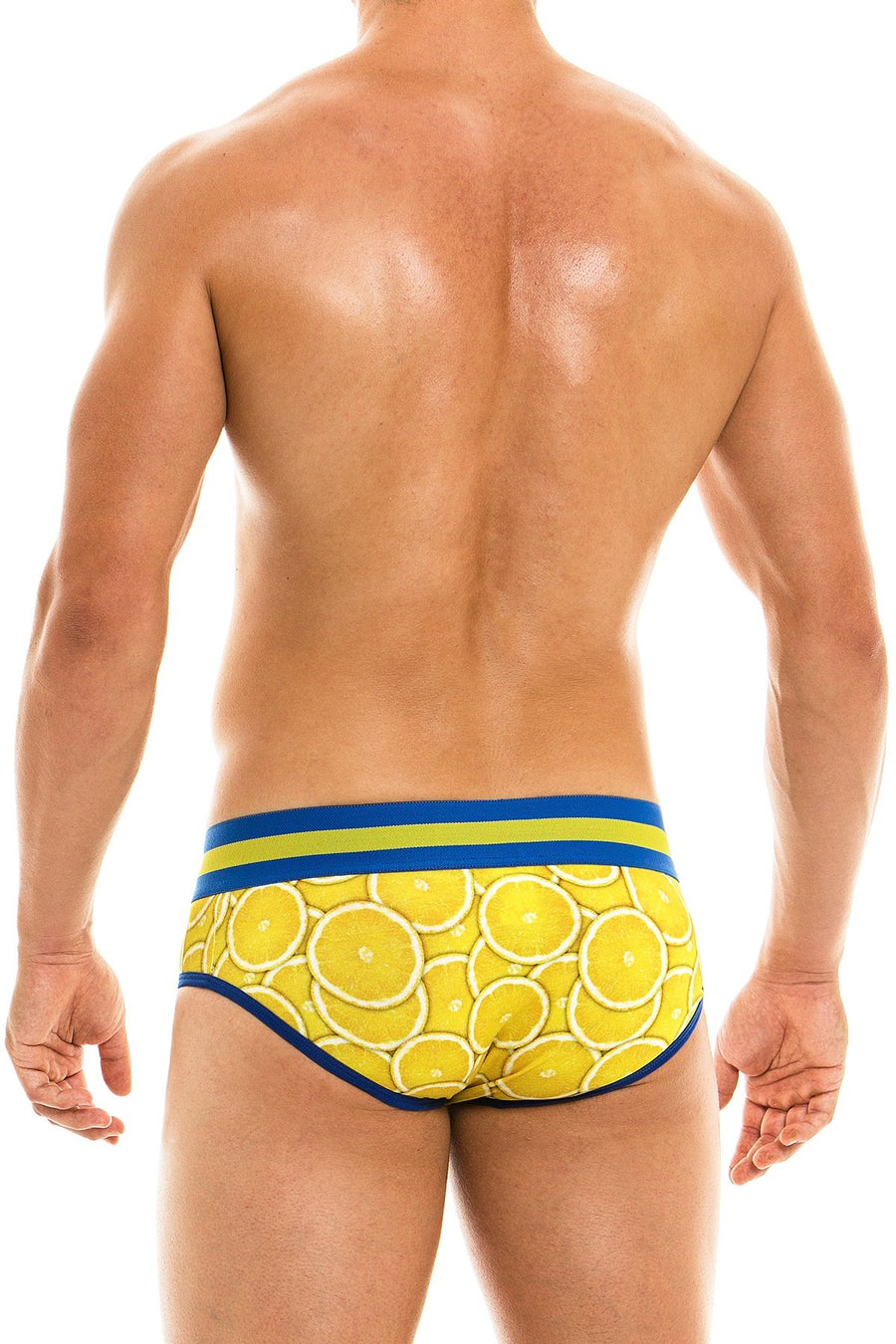 Modus Vivendi Lemon Brief