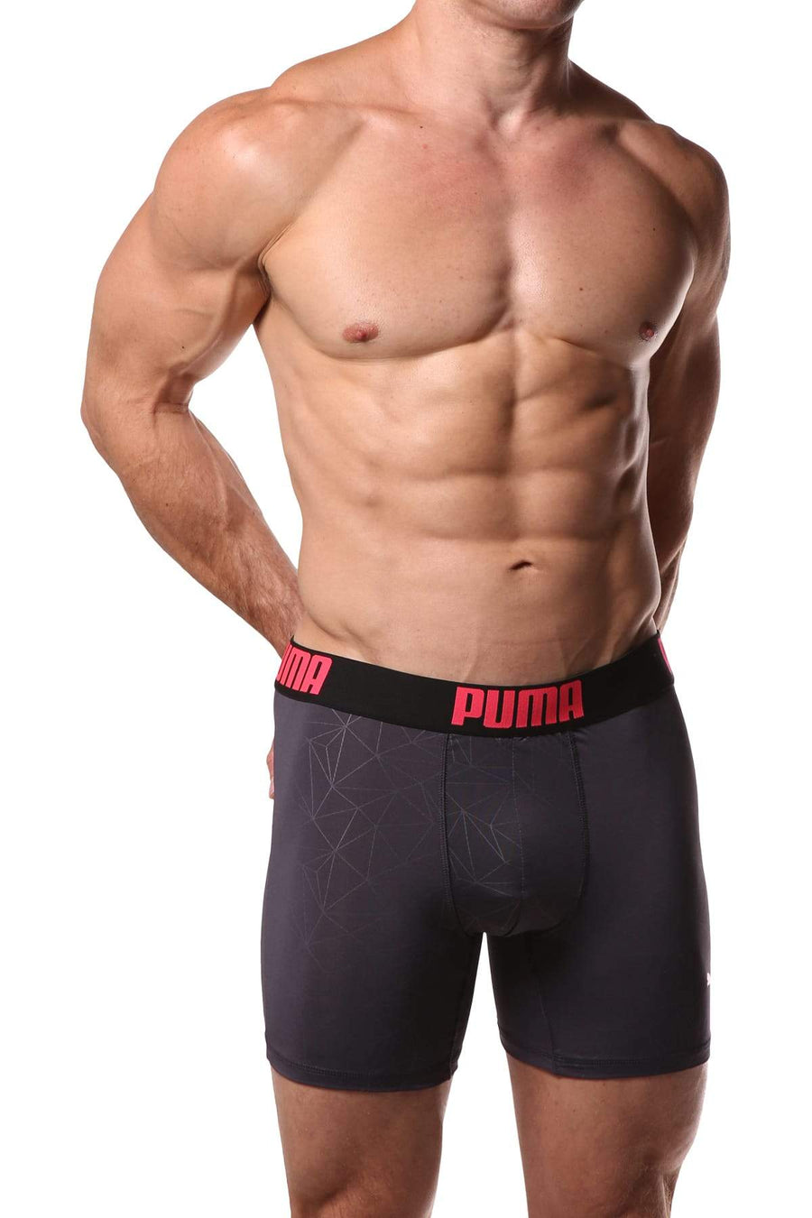 PUMA Grey Geometric Print Boxer Brief