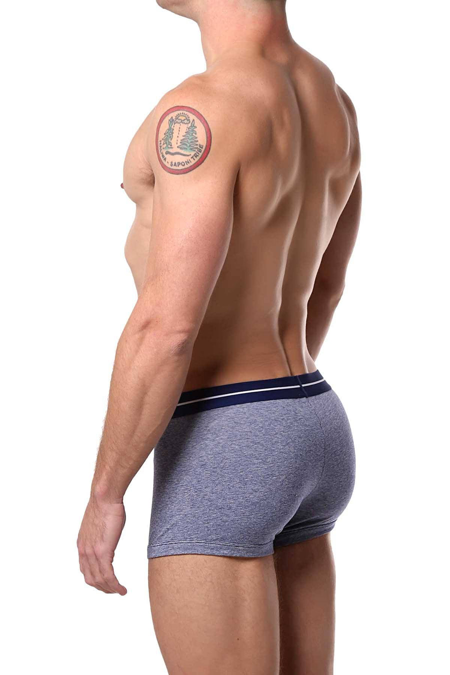 Papi Blue/White Striped/Solid Brazilian Trunk 3-Pack