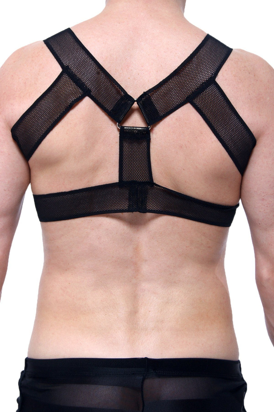 PetitQ Black Cornay Harness