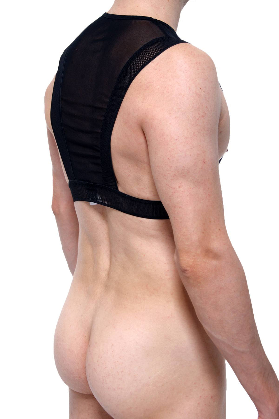 PetitQ Black Cru Harness with C-Ring