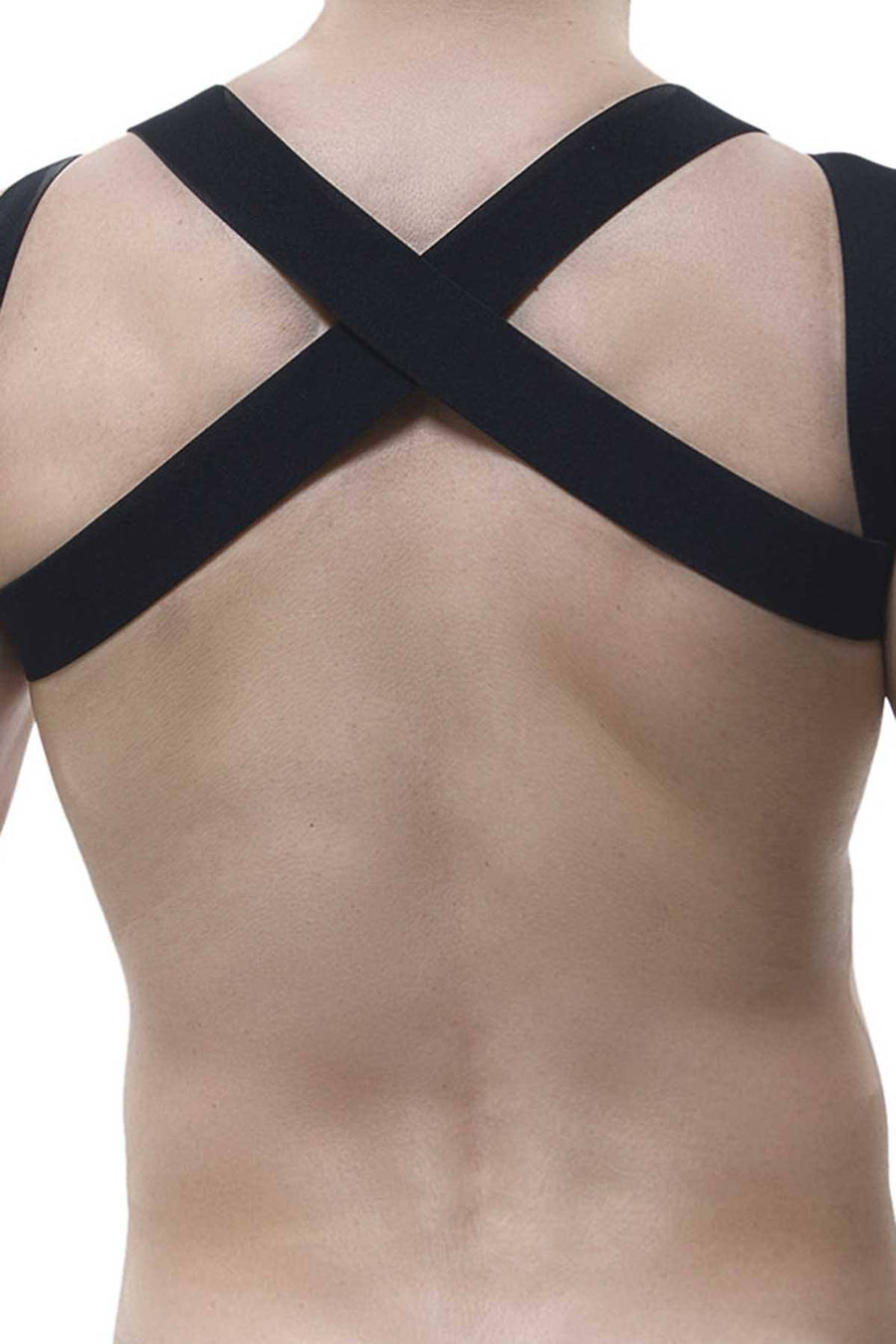 PetitQ Black Tarvos Harness
