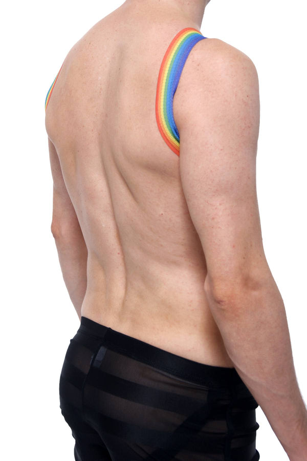 PetitQ Rainbow Dunzio Harness