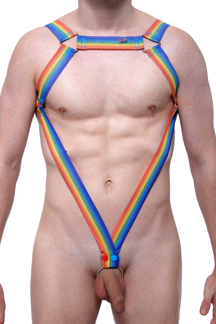 PetitQ Rainbow Dunzio Harness